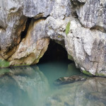 Çaycuma’nın Saklı Cenneti: Çayır Köyü Su Mağarası ve Tarihi Köprüler